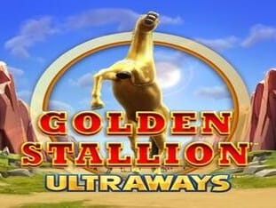 Golden Stallion game cover