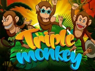 Triple Monkey game cover